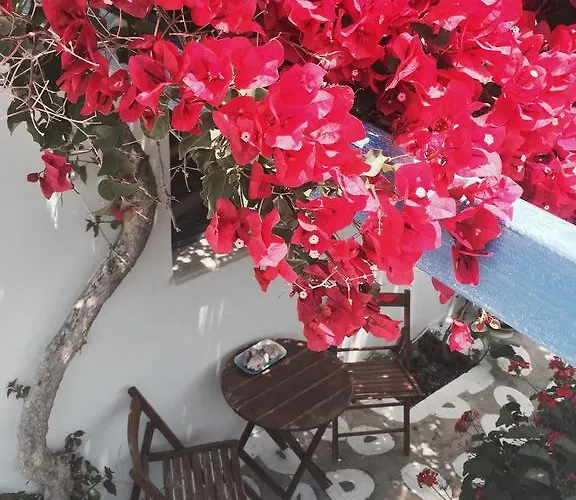 Galini Appartamento Katápola